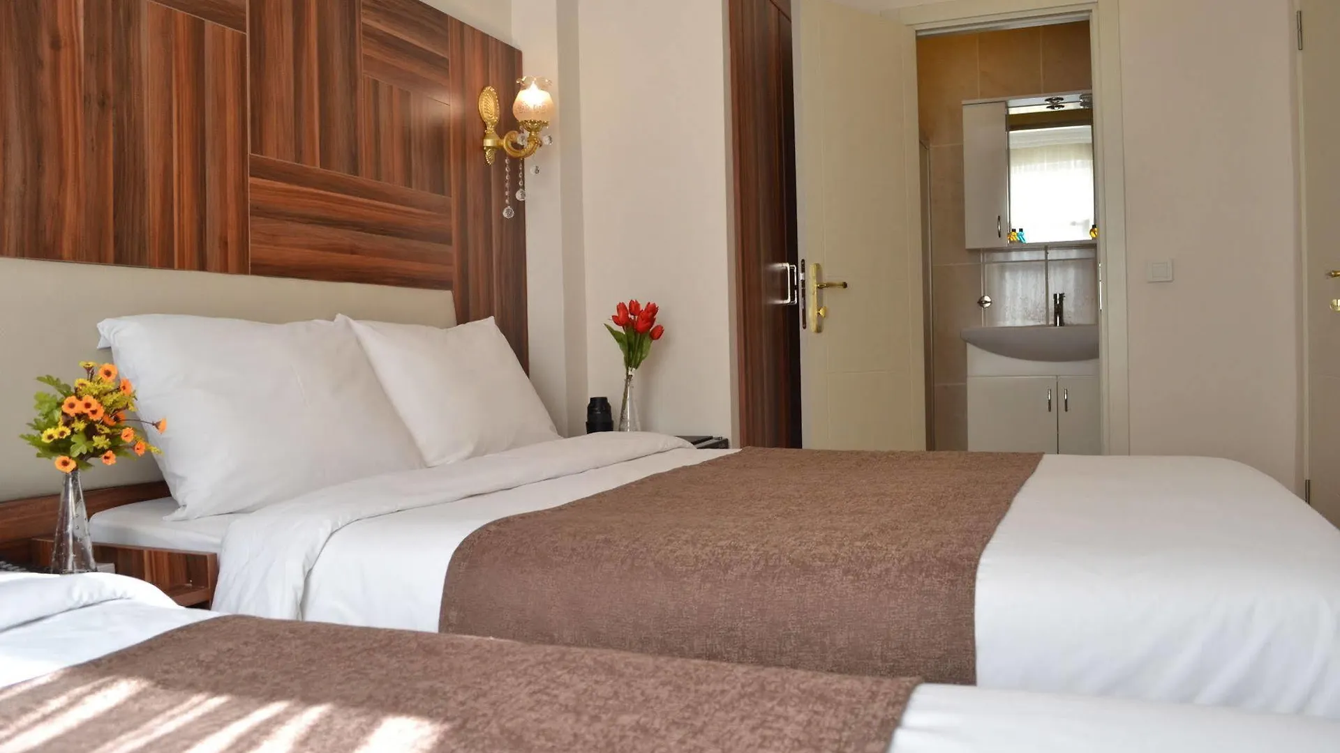 New Fatih Hotel Стамбул 3*,